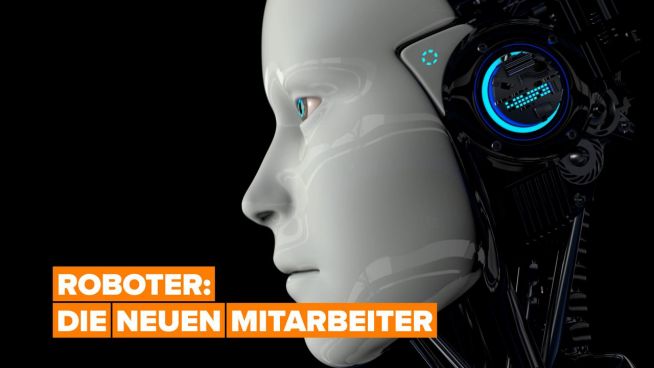 Warum werden immer mehr Roboter als Mitarbeiter eingesetzt?